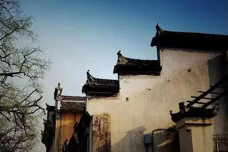 逃离违建房屋4